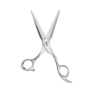 Ciseaux de coupe de cheveux 5.5 pouces poli miroir avec vis fantaisie VG10 poignée en acier ciseaux de Salon meilleur barbier de qualité chirurgicale - Product Image 1