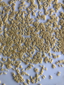 Arroz Integral de Alta Calidad de Vietnam, Cosecha de Nueva Temporada con Soporte para OEM y Exportación - Product Image 4