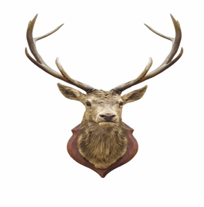 Sculpture de tête de cerf réaliste montée sur une base de style bois rustique, disponible à prix de gros. - Product Image 5