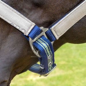 Correa de Cabeza para Caballo Suave, Arnés, Accesorios de Equitación, Nuevo Collar de Cabeza para Montar de Alexandria Industries - Product Image 4