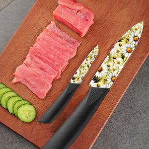 Juego de 2 Cuchillos de Cocina con Hoja de Cerámica Hechos a Medida, Mango de Plástico, Aptos para Lavavajillas, Alta Calidad, Entrega Rápida, Precio de Fábrica - Product Image 3