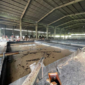 Cardanol liquide de qualité supérieure issu de coques de noix de cajou, produit par une entreprise manufacturière vietnamienne, prêt à être expédié en gros. - Product Image 4