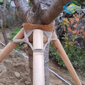 Hot Selling Product COIR TAPE / PALM MAT Landscaping Simplified: Coir Tape for Garden Decoration - Product Image 5