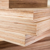 Contreplaqué ignifuge de première qualité E0 respectueux de l'environnement pour les projets de bricolage et l'utilisation en extérieur