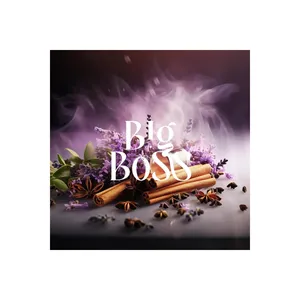 Carpex Big Boss Koku Kartusu Micro Sachet Parfumé 50 ml Cartouche - Product Image 4