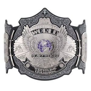 Ceintures de championnat d'arts martiaux unisexes en acier inoxydable les plus exigeantes à vendre par Wish Tell International Service OEM en vrac - Product Image 1