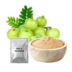 Poudre de groseille biologique (Amla) - Product Image 6