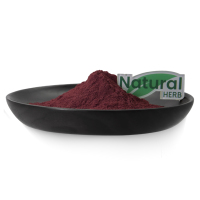 Échantillon Gratuit : Poudre de Jus de Fruit de Sureau Lyophilisé Naturel, Qualité Alimentaire, Extrait de Fruit, Super Aliment Biologique, Poudre de Sureau en Fût
