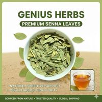 Daun Senna Kering Berkualitas Ekspor, Ditanam Secara Organik, Bahan Baku Herbal Alami, Pemasok Herbal Terbaik India