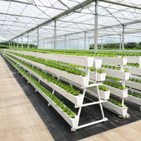 Système hydroponique commercial en A, support de culture vertical NFT pour laitues et légumes-feuilles, pour l'agriculture en serre