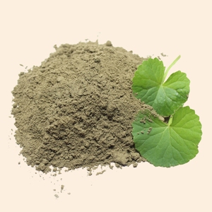 Extrait sec de Brahmi |   Poudre d'extrait sec à base de plantes |   Pour les formulations ayurvédiques et cosmétiques - Product Image 1