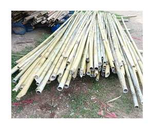 Venta al por mayor de caña de bambú, material ecológico natural de alta calidad, de proveedor de fábrica de Vietnam listo para exportar - Product Image 6