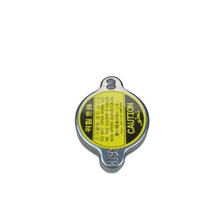 Venta caliente OEM 25330-17000 2533017000 CAP para <span class=keywords><strong>HYUNDAI</strong></span> KIA Accent 00 H100 99 Lavita 01 Libero 00 - Product Image 1