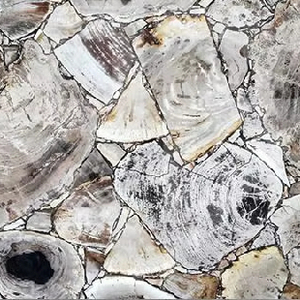 Azulejo de madera petrificada para decoración del hogar Interior para aplicación de Villa - Product Image 2