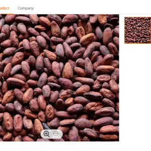 Cocoa Beans From Ivory Coast / Cocoa Beans
