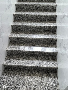 <span class=keywords><strong>Escaleras</strong></span> de Granito con Diseño de Ondas Marinas Personalizadas, Antideslizantes, Populares para Interiores y Exteriores - Product Image 2