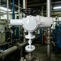 Actionneur électrique intelligent linéaire avec enregistrement des données, double étanchéité, haute poussée pour le traitement de l'eau