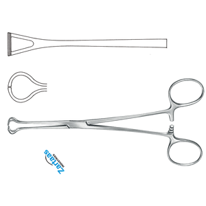 คีมหนีบเนื้อเยื่อ babcock สแตนเลส20ซม./8 "ผู้ผลิตเครื่องมือผ่าตัด - Product Image 4