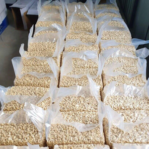 Service 24 heures Noix de cajou W180 W240 W320 Kaju Badam SANTIGO Normes européennes Noix de cajou séchées - Product Image 1