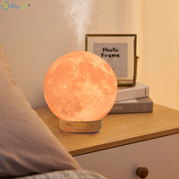 HonSun 2024 Unique Cool Mist Automatic Smart Appliances Diffusor Nouveau Design 3D Moon Lamp Light Diffuser avec Fleur Style Sculpté