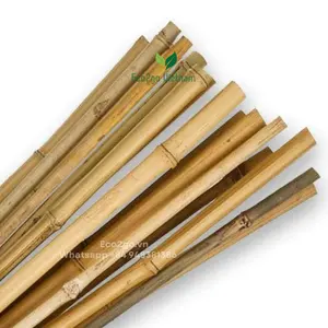 竹竿桩/大销售竹竿/Eco2go越南制造的竹竿处理竹竿