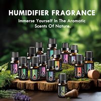 Ensemble d'huiles essentielles OEM, huiles végétales biologiques, mélange de parfums naturels sucrés, prêt à diffuser, ensemble cadeau d'aromathérapie, 6/8/10/12/16/18/20 pièces
