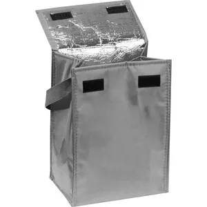 Sac isotherme personnalisé ANTONELLA pour gadgets, boîte isolée de qualité supérieure - Product Image 2