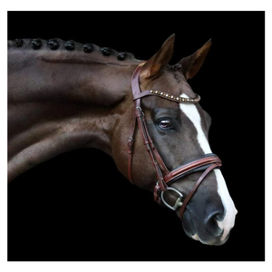 Indian Manufacturer Arabella-bride en cuir hansurien-marron chêne - Product Image 4