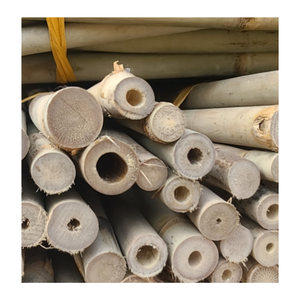 Offre Spéciale Poteaux De Bambou Matériel Pour La Construction-Cannes De Poteau De Bambou Naturel En Gros De L'usine Du Vietnam - Product Image 4