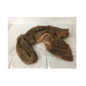 Cheap Price Bulk Stock Raw Green <b>Beef</b> Tripe For Sale In Bulk With Fast Delivery - Product Image 6