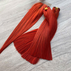 LINU Cajun Virgin Hair for Lace Front Long HD Double Drawn Vietnamese Bundles 250% Density <b>Rainbow</b>/Ginger for Lace Options - Product Image 1
