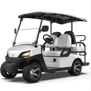 Golf Cart 2 4 6 8 Seats 4x4 Gasoline Off Road Club Car for Sale Gold Color Custom Free Design