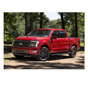 Ford F-150 d'occasion à vendre – Moteur essence de haute qualité, transmission automatique, pick-up fiable, disponible dans le monde entier dès maintenant - Product Image 6