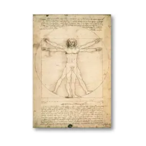 Affiche de l'Anatomie et du Homme de Vitruvius de Léonard de Vinci pour décoration murale - Product Image 1