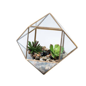 Terrarium en verre de qualité supérieure pour décoration de salon ou de salle à manger - Product Image 6