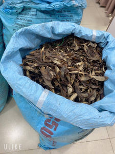 BEST SELLER Murex Operculum Plaque de coquille lisse et propre utilisée pour l'art de la résine, l'artisanat, les bijoux, le bricolage, la décoration de la maison, projets du Vietnam - Product Image 6