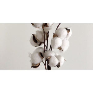 Hot Selling NE 20s/2 <b>100</b>% <b>Cotton</b> Carded <b>Yarn</b> for Spinning Non-Woven Fabric & Filling Material (7.5 TPI) BE Origin Eco-Friendly - Product Image 4