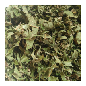 Hoja de guayaba pura de Vietnam, proceso de secado al sol natural, color verde brillante, perfecto para té, uso tradicional, embalaje personalizado - Product Image 3
