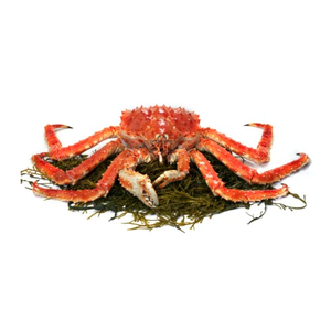 Cangrejo Rey Rojo Congelado de Calidad Pura, Proveedor de EE. UU., Venta al por Mayor en Línea - Product Image 5