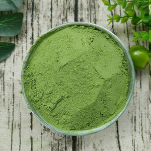 Polvo de Neem para Aceite Capilar Herbal y Nutrición del Cuero Cabelludo, Ingrediente Orgánico Ayurvédico para el Crecimiento del Cabello, para un Cabello Largo y Fuerte - Product Image 6