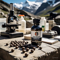 Capsules de poudre de Shilajit de l'Himalaya 100 % pure testées en laboratoire, suppléments à base de plantes naturelles à l'acide fulvique, ALAM MINERALS, 60 capsules, pour le système immunitaire