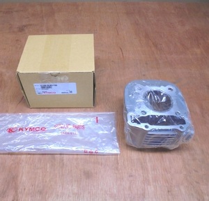 Cylindre d'origine Kymco 12100-BLB3-E00, Skytown 125i CBS E5+, Agility S 125i CBS E5+ - Product Image 1