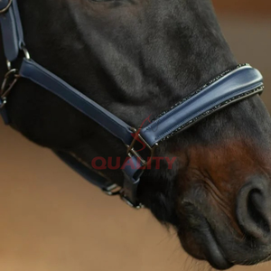 Bride de cheval en cuir de style anglais équestre professionnel avec licou fait à la main en cuir durable idéal pour la piste d'entraînement - Product Image 3