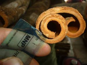 Bâtons de cannelle de Ceylan biologique de haute qualité en vrac - Product Image 4