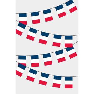 Guirlande de drapeaux rectangulaires de la France pour décorations de fête - Product Image 1