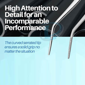 Pinzas Dentales de Primera Calidad al por Mayor, Pinzas Dentales con Logotipo Personalizado, Pinzas Dentales a Bajo Precio - Product Image 6