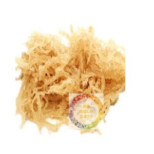สาหร่าย Eucheuma cottonii แบบแห้งแดดธรรมชาติส่งออกจากโรงงานที่เชื่อถือได้ - Product Image 4
