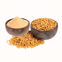 Poudre de fenugrec de qualité supérieure pour la cuisine ou les compléments alimentaires et les soins capillaires, disponible au prix d'exportation