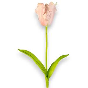 Tulipe Rose 65cm - Product Image 2