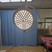 Lampe chirurgicale LED portable avec support, lampe d'opération vétérinaire mobile pour usage clinique